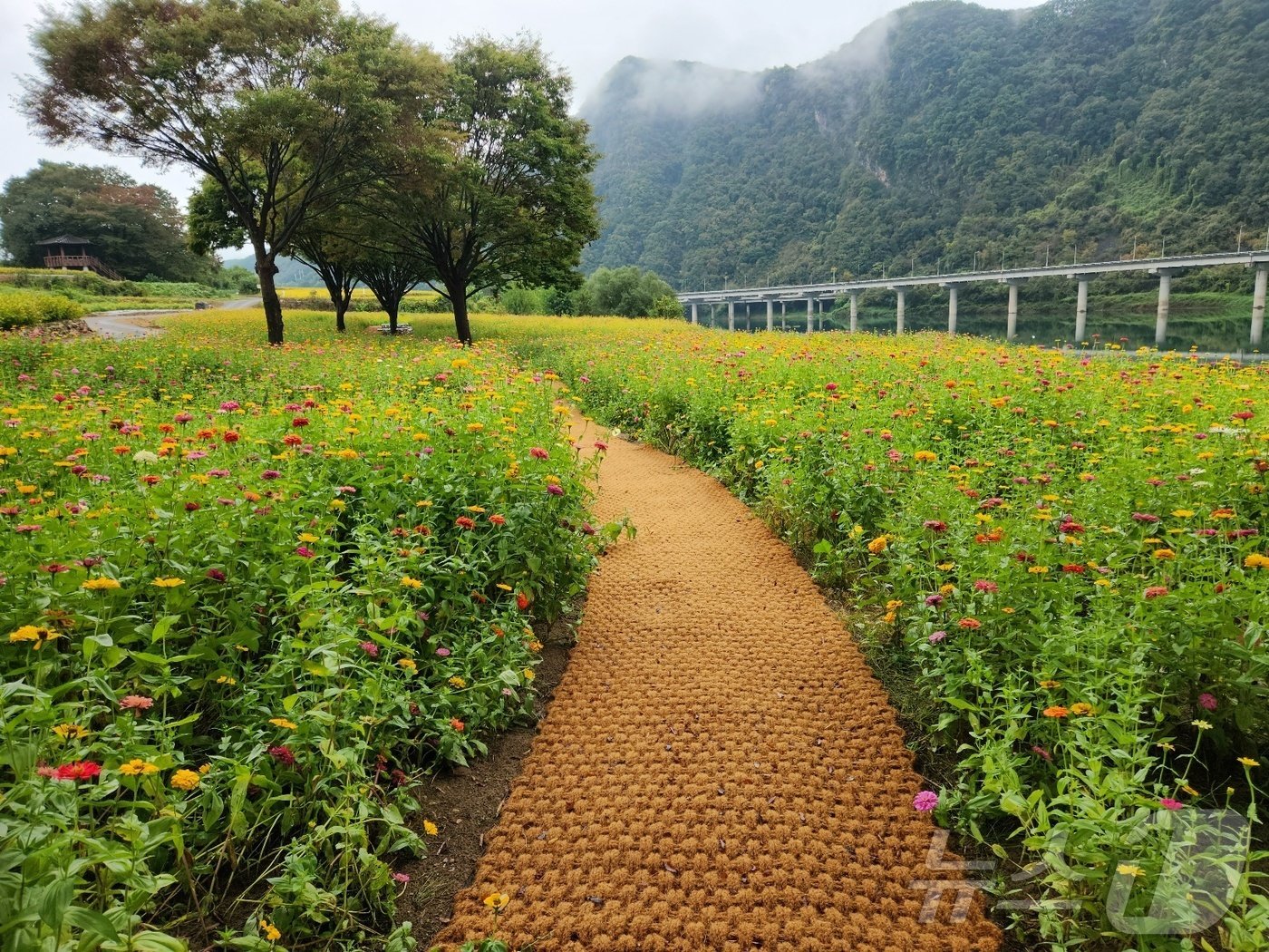 본문 이미지 - 도담정원.2024.10.17/뉴스1