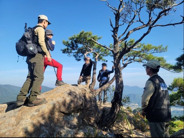 속리산국립공원 음주·임산물 불법채취 등 집중 단속