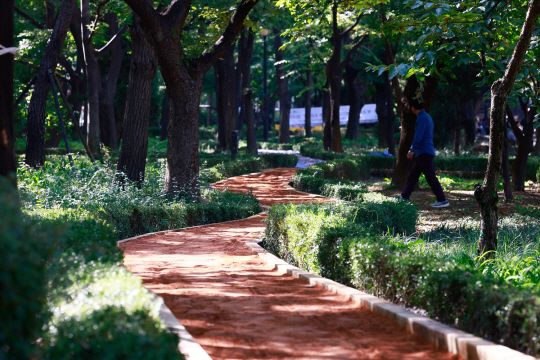 송파구 '맨발로 걷는' 어싱길 연내 11곳까지 늘린다