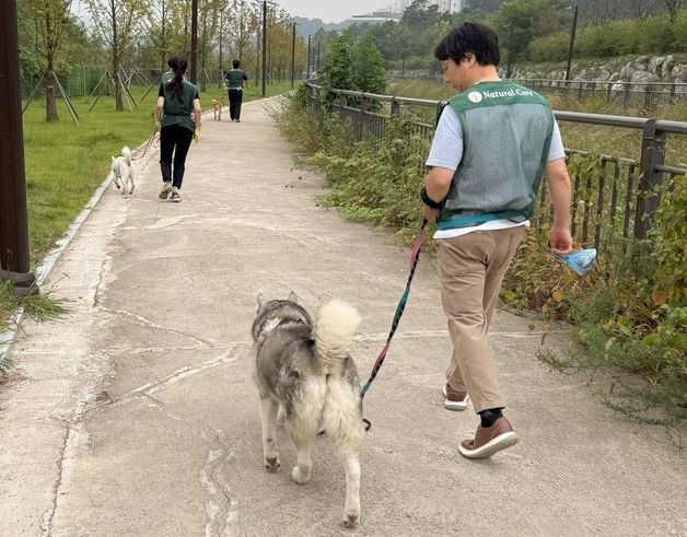 네츄럴코어, 창립기념일 맞아 보호소 봉사…15년간 기부한 착한 기업