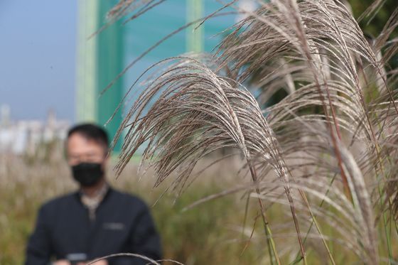 전국 최대 120㎜ 강풍 동반 비…저지대 침수 주의 [내일날씨]