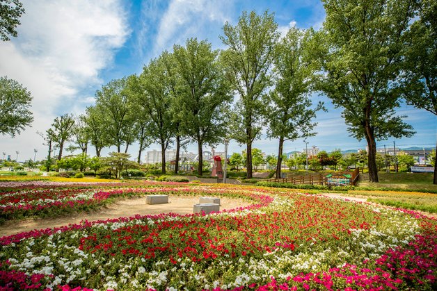 본문 이미지 - 오천자전거길이 지나는 증평 보강천.(증평군 제공)/뉴스1