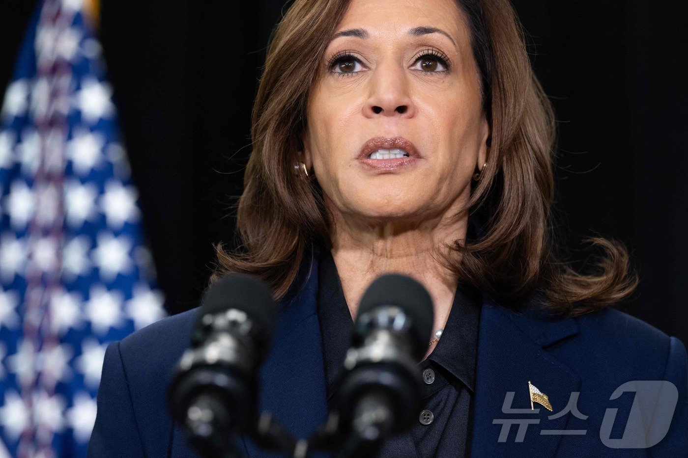 본문 이미지 - 미국 민주당 대통령 선거 후보인 카멀라 해리스 부통령이 17일 (현지시간) 위스콘신주 밀워키에서 기자회견을 갖고 팔레스타인 무장 정파 하마스의 수장인 야흐야 신와르 사망에 "정의가 실현됐으며, 가자지구에서 전쟁을 끝낼 기회가 왔다＂고 밝히고 있다. 2024.10.18 ⓒ AFP=뉴스1 ⓒ News1 우동명 기자