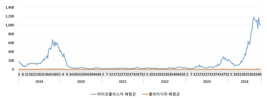 2019~2024 세균성 급성호흡기감염증 입원환자 신고현황. &#40;질병청 제공&#41;