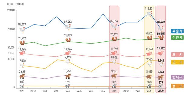 3분기 산란계·오리 사육 늘고…소·돼지·닭은 줄어