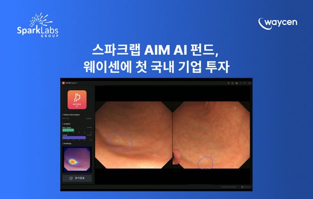 사우디 참여한 '스파크랩 AIM AI 펀드', 웨이센에 국내 1호 투자