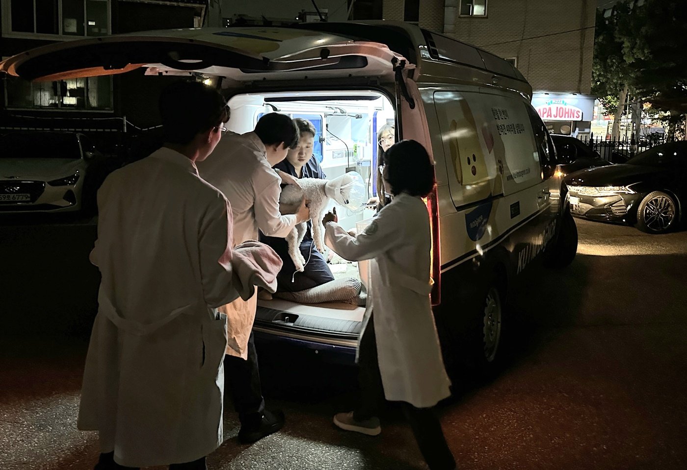 본문 이미지 - 16일 동물병원에 앰뷸런스로 이송된 반려견과 의료진들의 모습. 건국대 동물병원은 의료기기가 설치된 앰뷸런스에 수의사가 함께 동행해 헌혈동물 및 응급환자 이송을 하고 있다.  &#40;건국대 동물병원 제공&#41; ⓒ 뉴스1