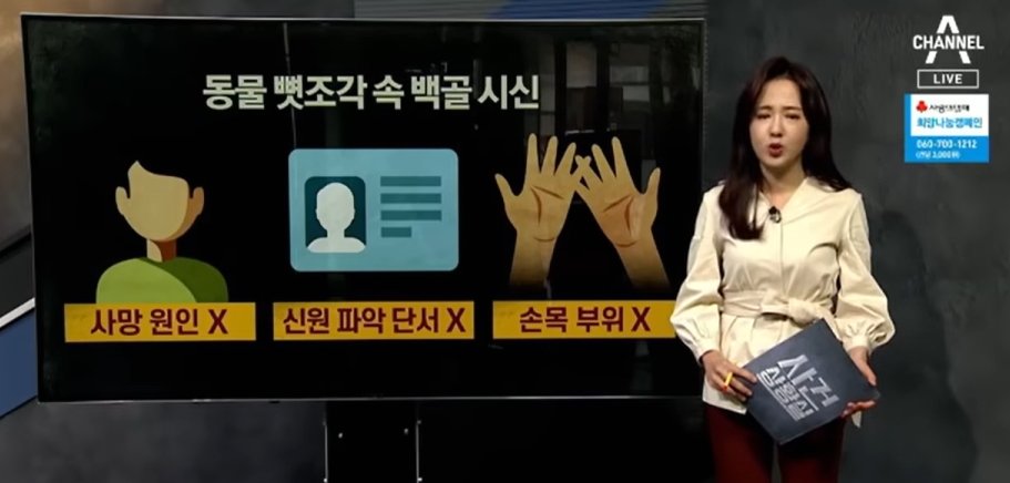 본문 이미지 - 채널A 영상 갈무리