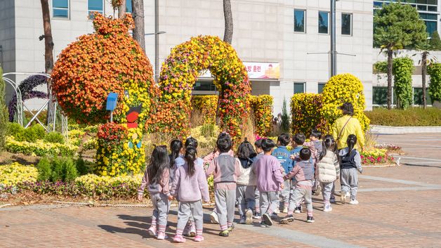 울산 북구청 광장에 가을국화 활짝… 전시회 11월 중순까지