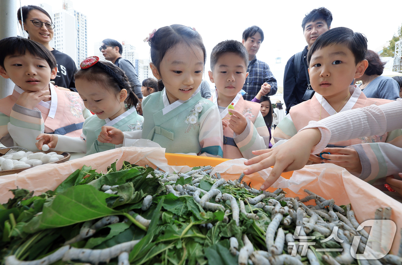 (서울=뉴스1) 박정호 기자 = 19일 서울 서초구 잠원로 잠원체육공원에서 열린 2024년 제10회 이웃과 함께하는 행복 한마당 잠원나루축제를 찾은 어린이들이 누에에게 뽕잎을 주고 …