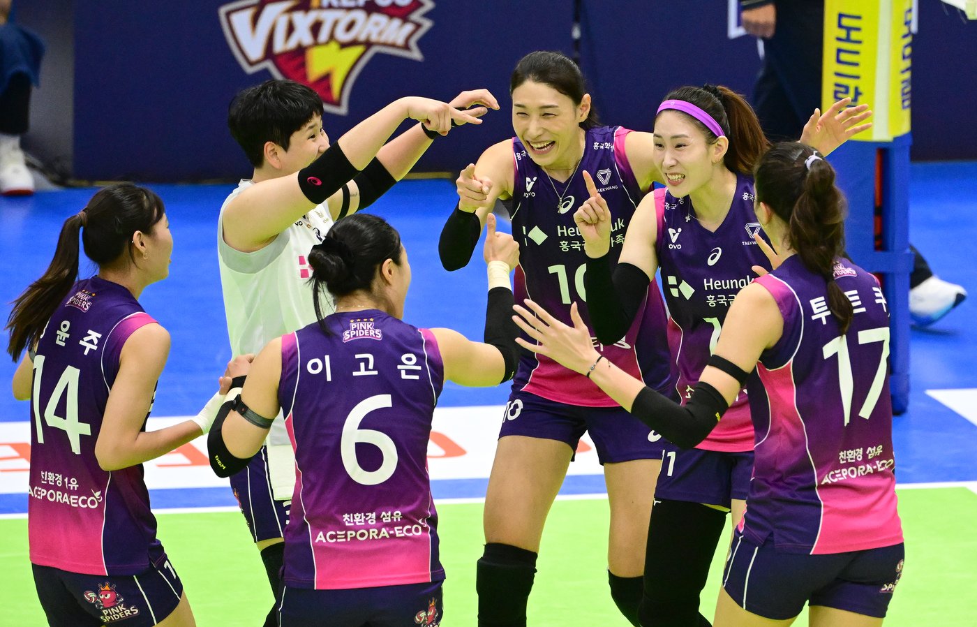 본문 이미지 - 흥국생명(KOVO제공) 