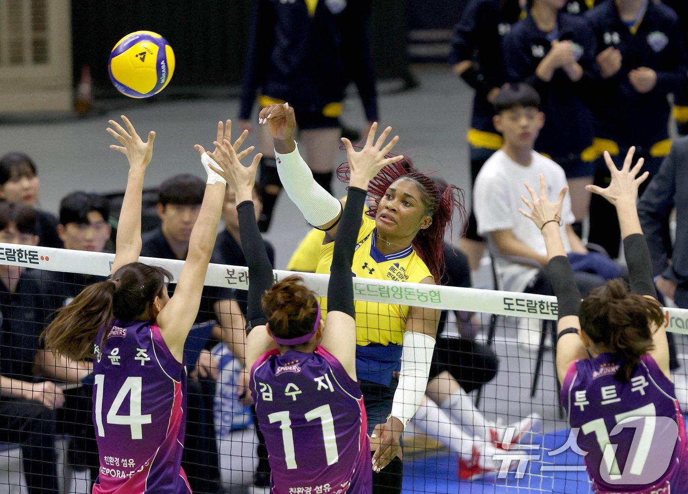 본문 이미지 - 흥국생명이 여자부 최다 연승 신기록의 눈앞에서 현대건설과 맞붙을 가능성이 높다. (현대건설배구단 제공)