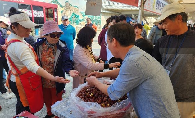 '대추에 설레, 보은에 올래' 보은대추축제 11일 개막