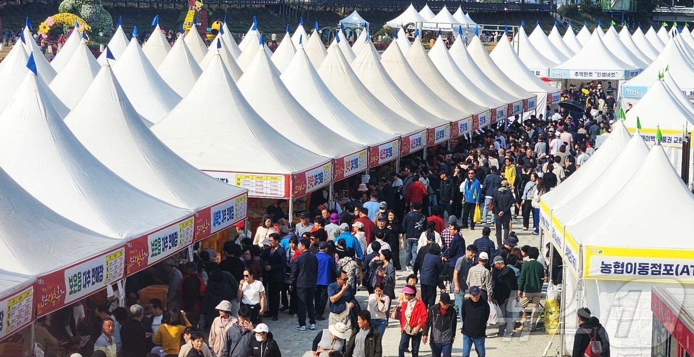 지난해 인산인해를 이룬 보은읍 보청천변 대추축제장 모습&#40;보은군 제공&#41; /뉴스1  