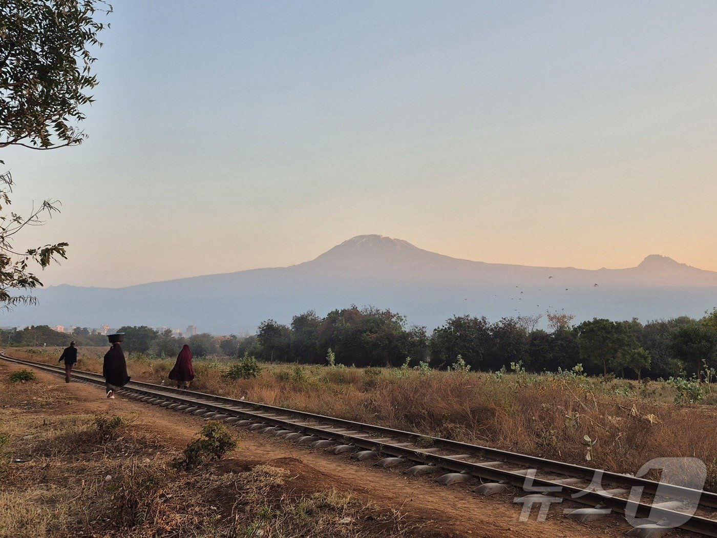 본문 이미지 - 모시 시내에 있는 스프링랜즈 호텔 입구에서 바라 본 일출 무렵의 킬리만자로.2024.10.4./뉴스1 ⓒ News1 조영석 기자