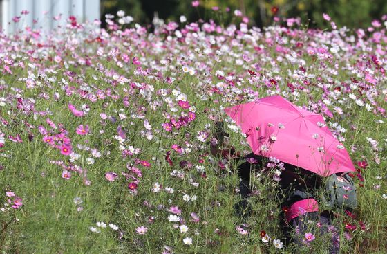 개천절 아침, 강원산지 5도 이하 '뚝'…강원 고산지대 '얼음'