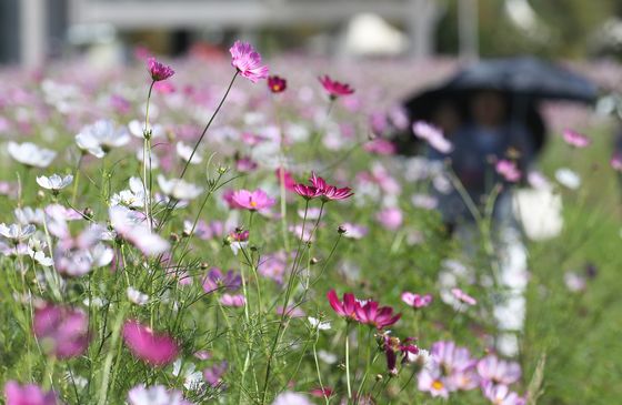 [오늘의 날씨] 경기(3일, 목)…기온 뚝, 아침 최저 8도