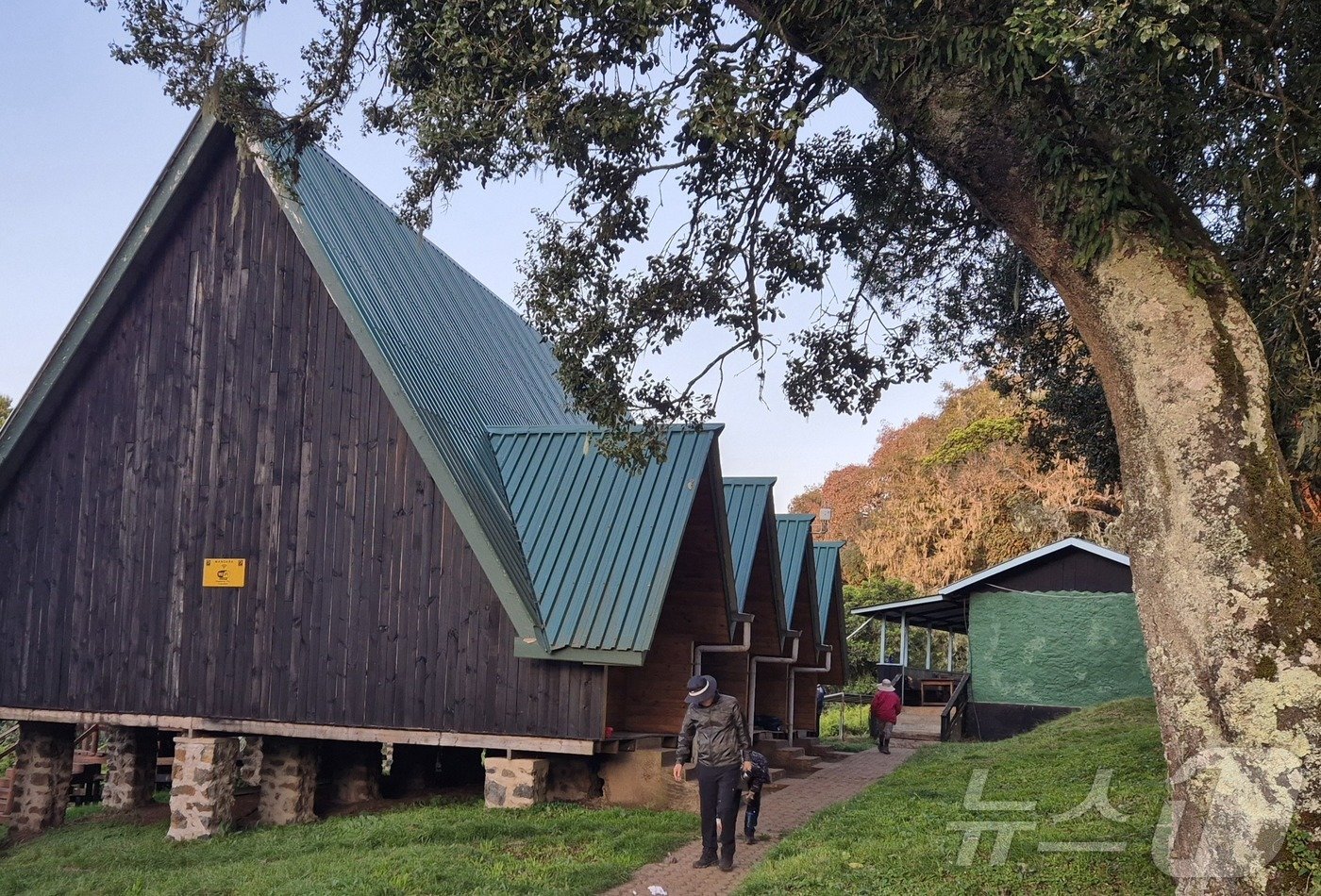 본문 이미지 - 킬리만자로 등정의 첫번째 산장인 만다라 산장(Mandara Hut.2720m).2024.10.4./뉴스1 ⓒ News1 조영석 기자 