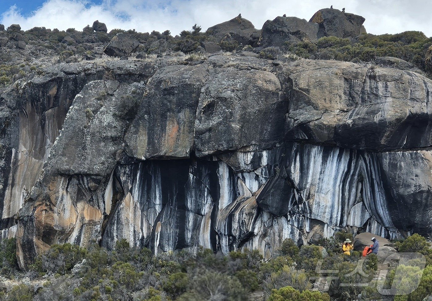 본문 이미지 - 얼룩말 바위…흰색과 검은색이 세로로 교차 반복되면서 그려진 얼룩말 무늬가 마치 화가의 그림처럼 사실적이다. 2024.10.8./뉴스1 ⓒ News1 조영석 기자