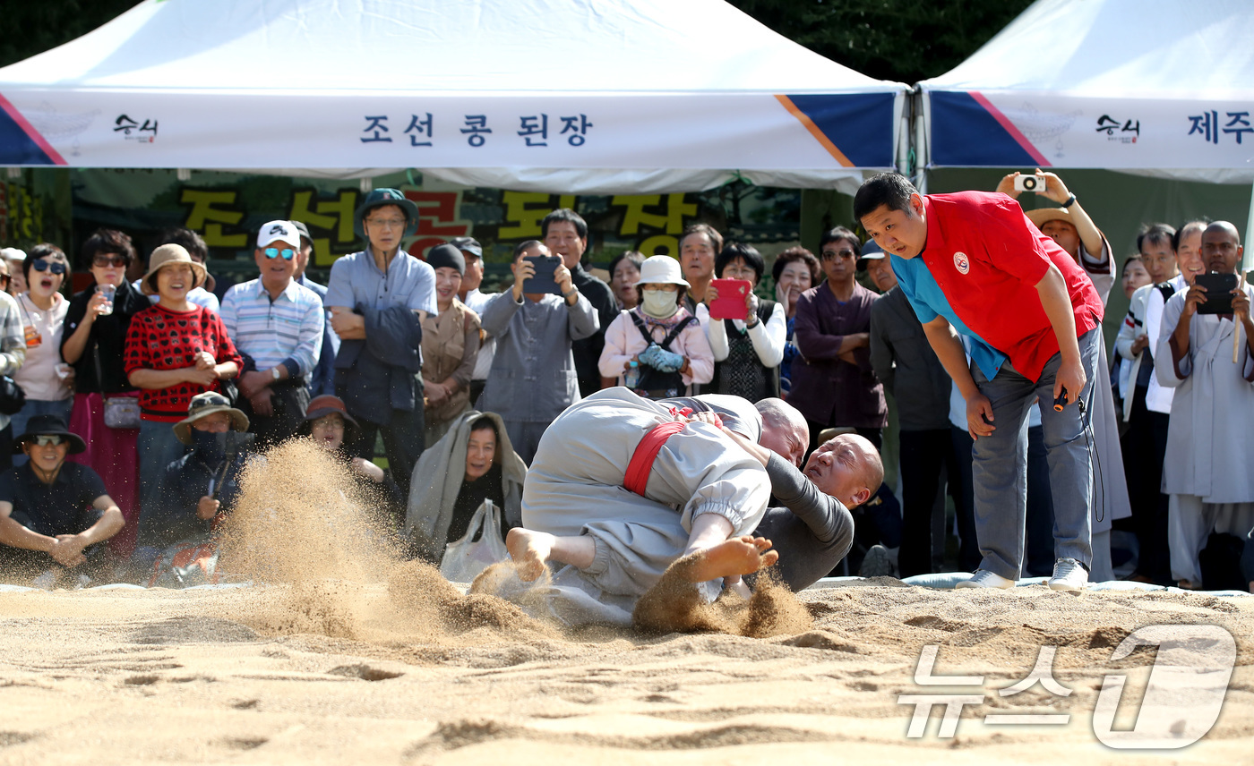 (대구=뉴스1) 공정식 기자 = 2일 대구 동구 동화사에서 열린 '제14회 팔공산 산중 전통장터 승시 축제'에서 승가 시념인(時念人·씨름)대회에 참가한 스님들이 모래판 위에서 실력 …