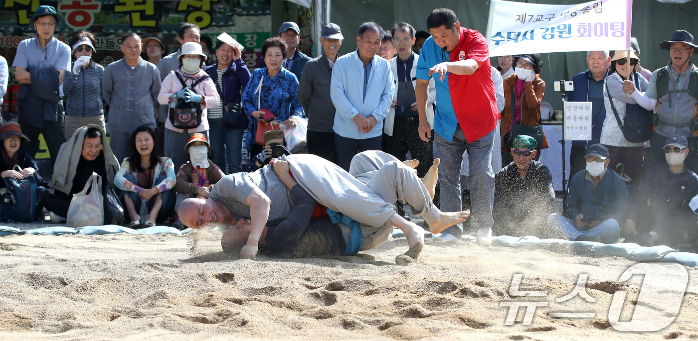 (대구=뉴스1) 공정식 기자 = 2일 대구 동구 동화사에서 열린 '제14회 팔공산 산중 전통장터 승시 축제'에서 승가 시념인(時念人·씨름)대회에 참가한 스님들이 모래판 위에서 실력 …