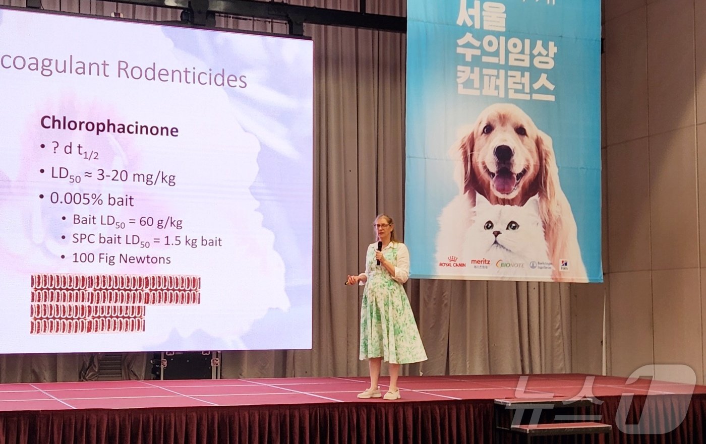 본문 이미지 - 미국 수의독성의학전문의 캐린 비쇼프(Karyn Bischoff) 코넬대학교 수의대 교수가 9월 28일 세종대에서 강의를 하고 있다. ⓒ 뉴스1 한송아 기자