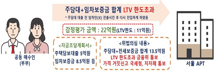 본문 이미지 - LTV 한도초과 및 가격 거짓신고 사례.(국토교통부 제공)