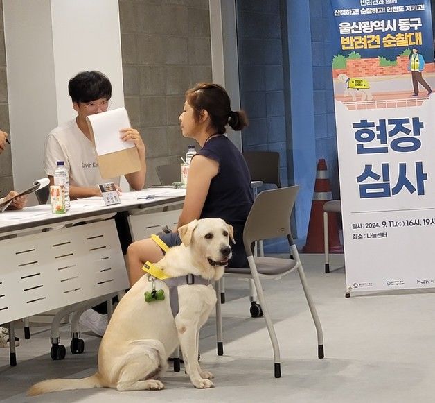 “제가 동네 지킬게요” 울산 동구 '반려견순찰대' 출범