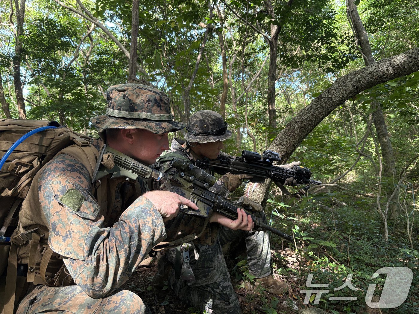 본문 이미지 - 해병대는 10월 14일부터 19일까지 필리핀 일대에서 '2024 카만닥(KAMANDAG)' 훈련을 실시했다. 카만닥 훈련은 미국·필리핀 해병대가 우방국과의 연합작전 수행능력 향상을 위해 2017년부터 시행하고 있는 다국적 연합훈련이다. 카만닥은 필리핀어로 ‘바다 전사들의 협력’이라는 뜻이다. 사진은 한·미·필리핀 해병대 장병들이 연합수색훈련을 실시하는 모습. (해병대사령부 제공) 2024.10.20/뉴스1 ⓒ News1 박지혜 기자