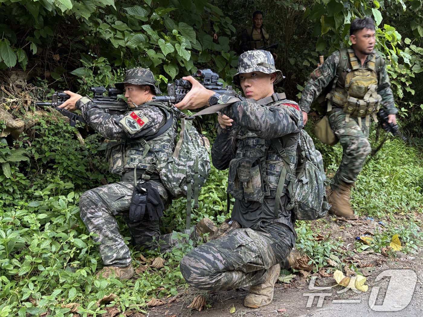 본문 이미지 - 해병대는 10월 14일부터 19일까지 필리핀 일대에서 '2024 카만닥(KAMANDAG)' 훈련을 실시했다. 카만닥 훈련은 미국·필리핀 해병대가 우방국과의 연합작전 수행능력 향상을 위해 2017년부터 시행하고 있는 다국적 연합훈련이다. 카만닥은 필리핀어로 ‘바다 전사들의 협력’이라는 뜻이다. 사진은 한·미·필리핀 해병대 장병들이 연합수색훈련을 실시하는 모습. (해병대사령부 제공) 2024.10.20/뉴스1 ⓒ News1 박지혜 기자
