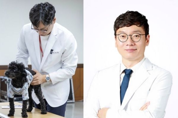 반려견 관절 마사지 어떻게…성동구, 28일 김석중 수의사 초청 특강