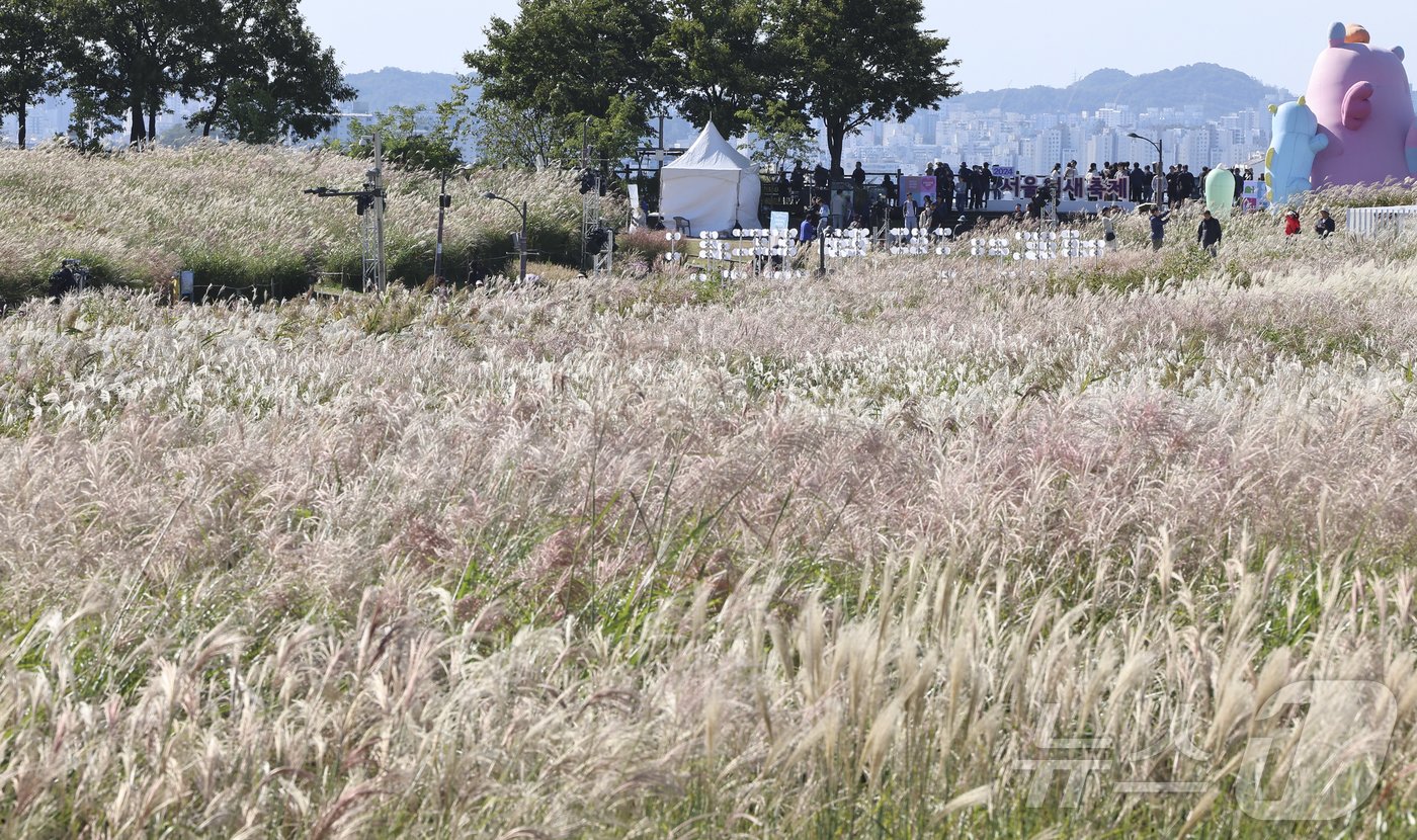 20일 서울 마포구 하늘공원에서 열린 서울억새축제를 찾은 시민들이 억새밭을 거닐고 있다. 기상청은 이날 전국이 대체로 맑으나 비가 그친 뒤 찬 공기가 밀려오면서 올가을 들어 가장 쌀쌀한 날씨를 보이겠다며 건강관리에 유의해야 한다고 당부했다. 2024.10.20/뉴스1 ⓒ News1 김도우 기자