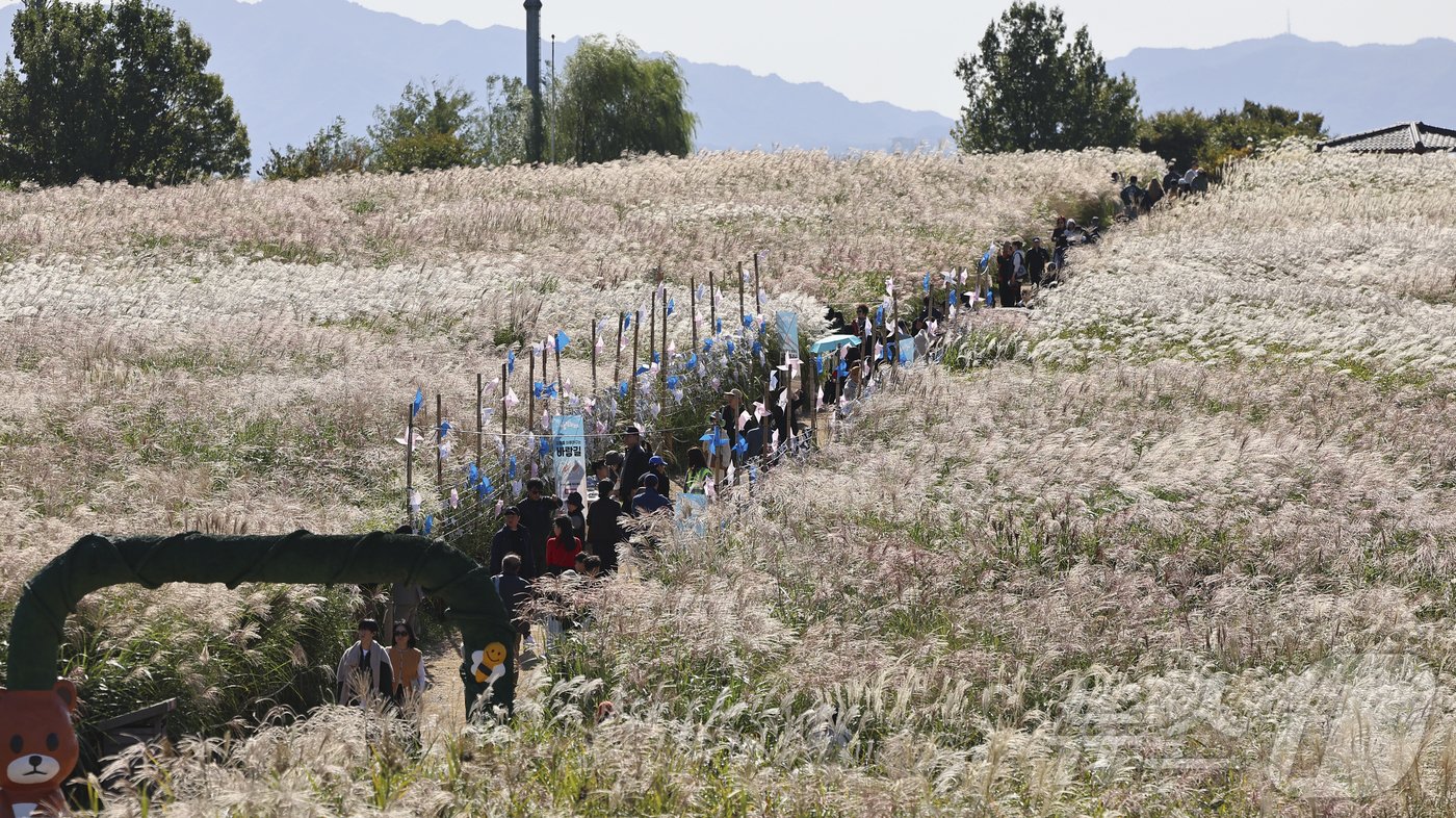 본문 이미지 - 20일 서울 마포구 하늘공원에서 열린 서울억새축제를 찾은 시민들이 억새밭을 거닐고 있다. 기상청은 이날 전국이 대체로 맑으나 비가 그친 뒤 찬 공기가 밀려오면서 올가을 들어 가장 쌀쌀한 날씨를 보이겠다며 건강관리에 유의해야 한다고 당부했다. 2024.10.20/뉴스1 ⓒ News1 김도우 기자