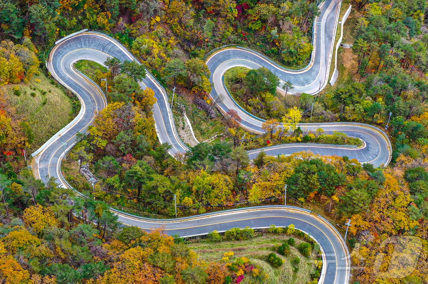 본문 이미지 - 20일 강원도 평창군 용평면 운두령 인대 산자락에 단풍이 물들고 있다. 2024.10.20/뉴스1 ⓒ News1 이재명 기자