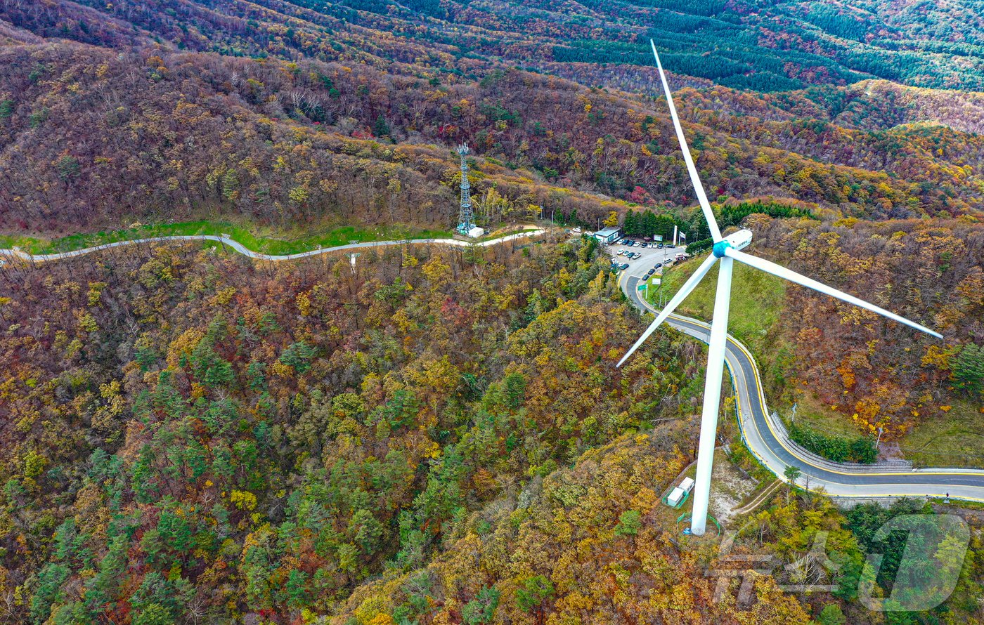 본문 이미지 - 20일 강원도 평창군 용평면 운두령 인대 산자락에 단풍이 물들고 있다. 2024.10.20/뉴스1 ⓒ News1 이재명 기자