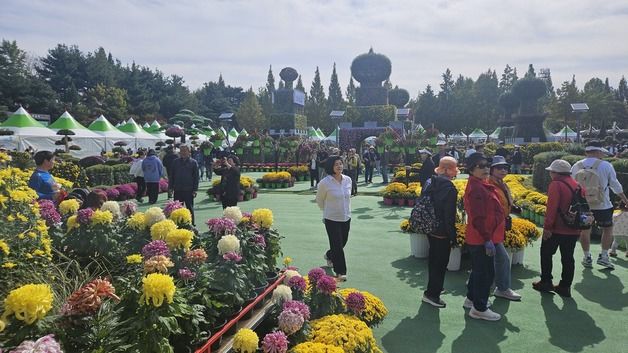 "아내 사진 찍으며 국화 향에 취한 가을" 익산 천만송이 국화축제 '북적'