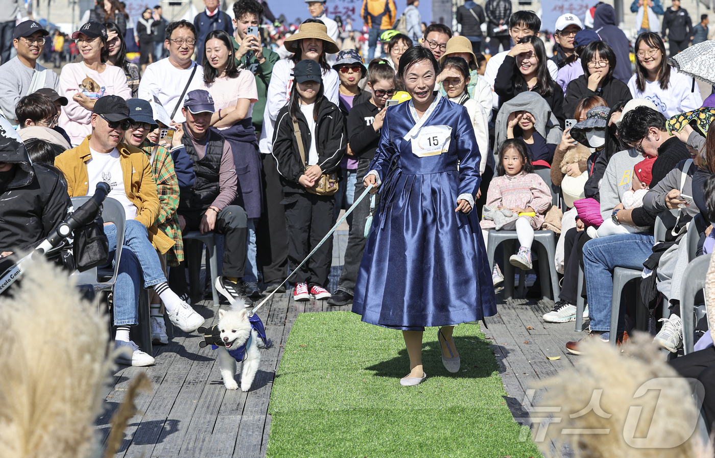 (서울=뉴스1) 김도우 기자 = 20일 서울 마포구 평화의공원에서 열린 '제17회 마포나루 새우젓축제'에서 예쁜 반려견 선발대회에 참가한 반려인과 반려견이 실력을 뽐내고 있다. 2 …