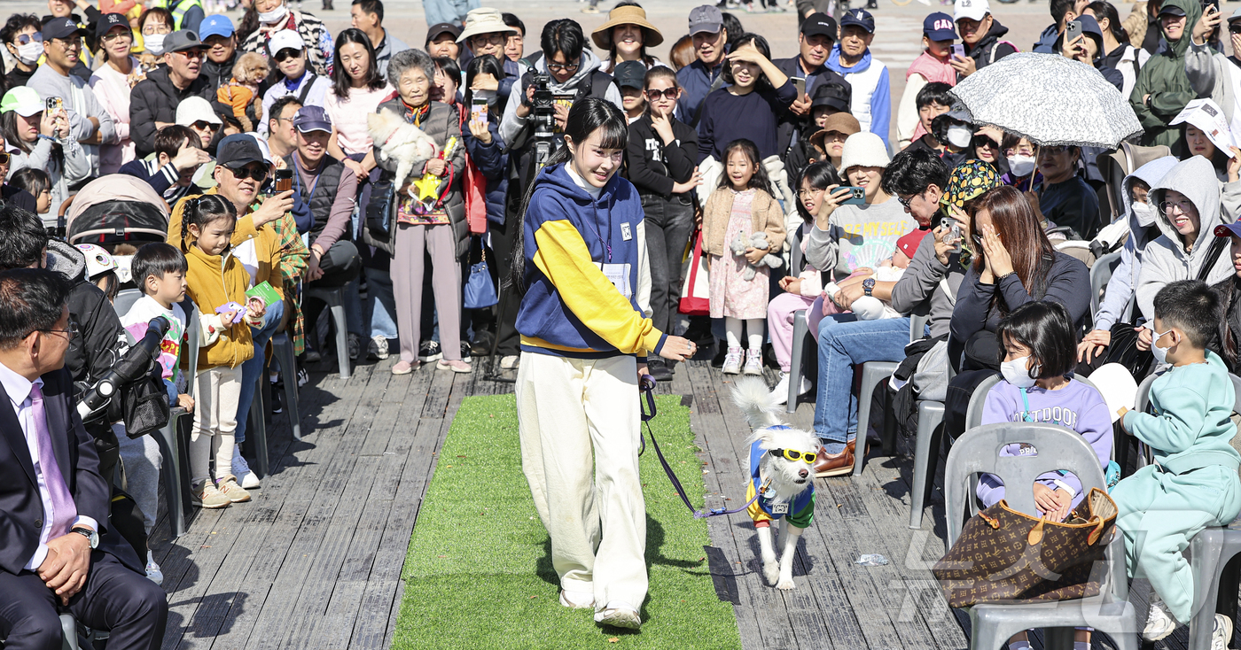 (서울=뉴스1) 김도우 기자 = 20일 서울 마포구 평화의공원에서 열린 '제17회 마포나루 새우젓축제'에서 예쁜 반려견 선발대회에 참가한 반려인과 반려견이 실력을 뽐내고 있다. 2 …