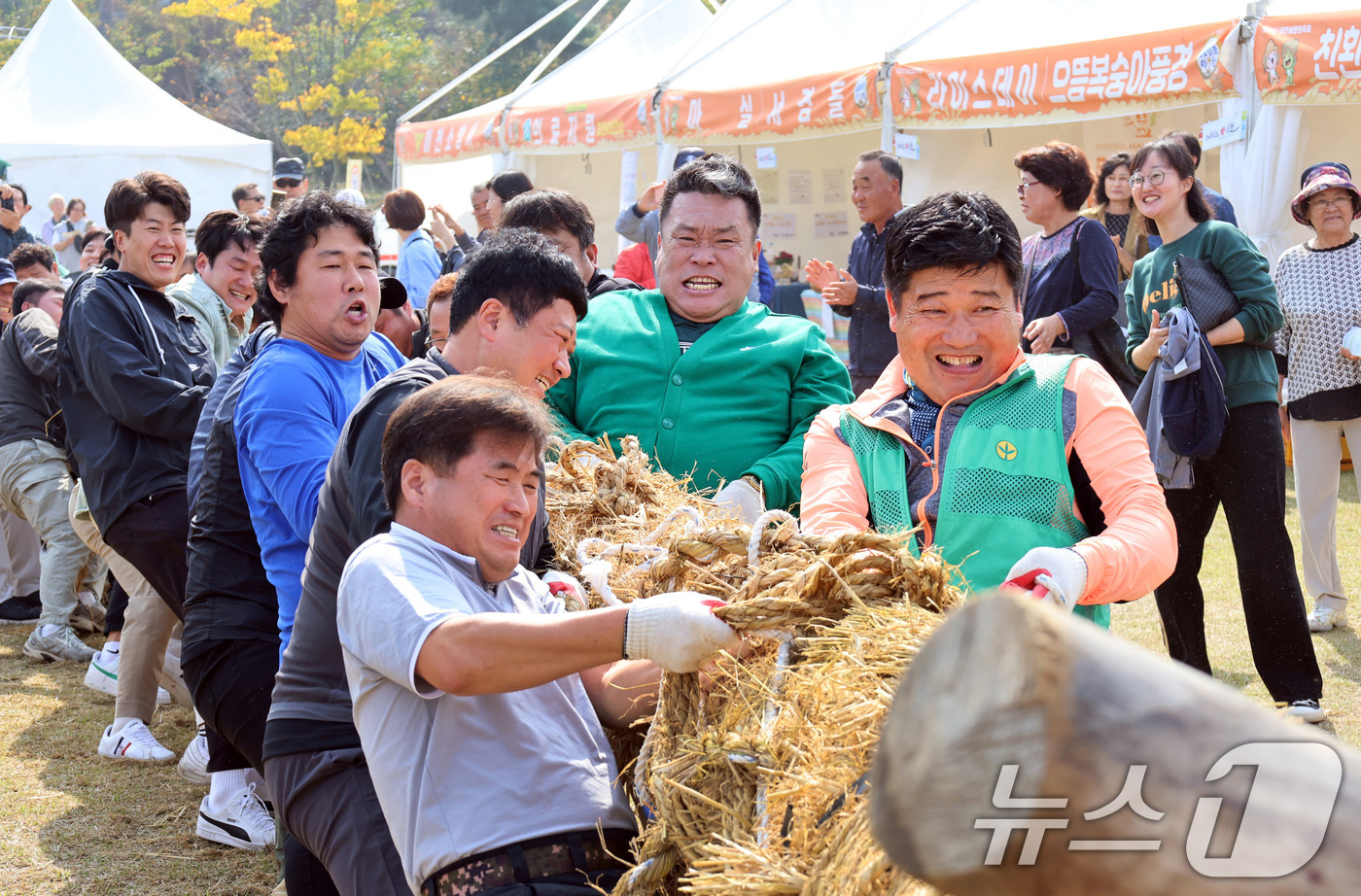 (서울=뉴스1) = 20일 오후 경기도 이천시 모가면 이천농업테마공원에서 열린 '제23회 이천쌀문화축제'의 읍면동 줄다리기 행사가 펼쳐지고 있다.   (이천시 제공) 2024.10 …