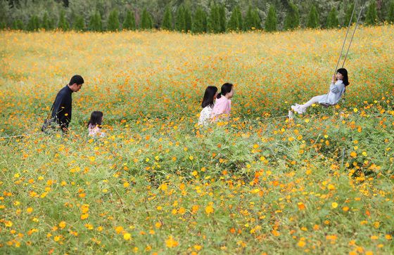 [오늘의 날씨] 대구·경북(25일,금)…낮에 포근, 최고 21~24도