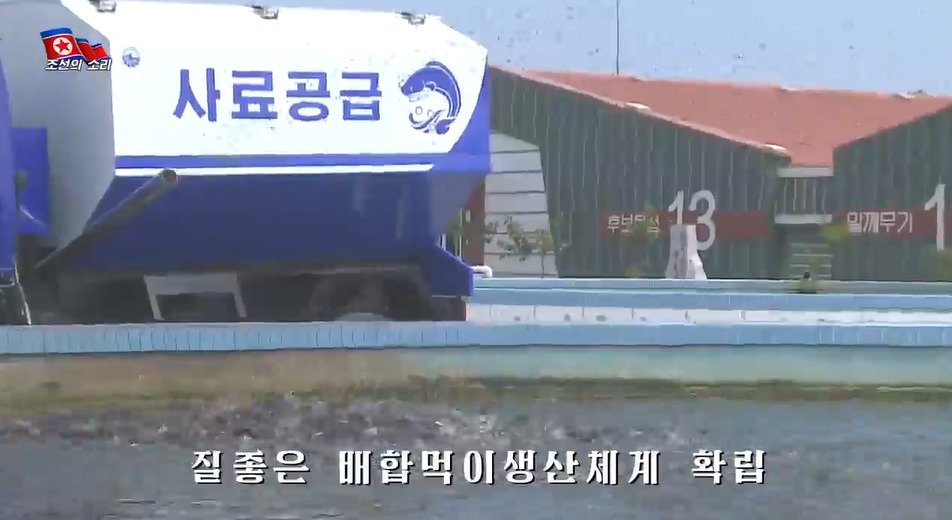 본문 이미지 - 북한 대외 선전 매체 '조선의 소리' 17일자 영상 '양어의 집약화' 갈무리