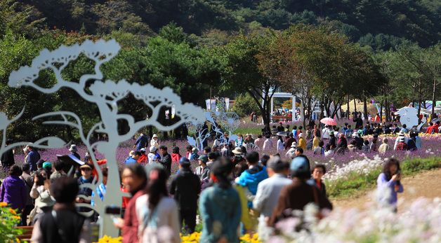 24만명 찾은 인제 가을꽃축제