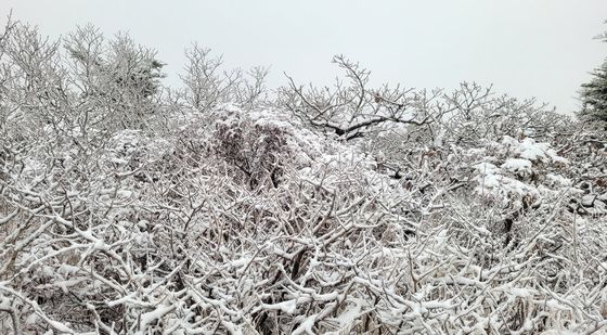 눈 쌓인 설악산