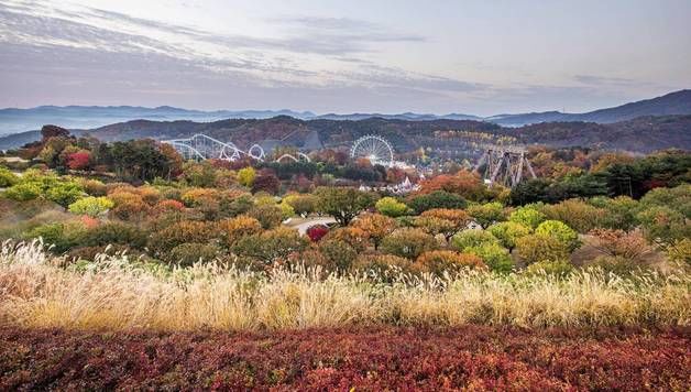 단풍으로 물든 에버랜드…가을 테마 탈바꿈한 '어텀페스타 가든'