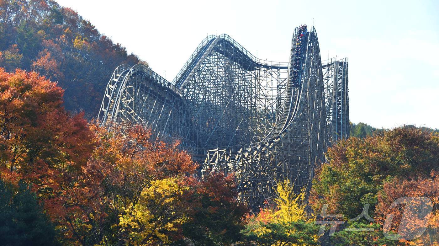 본문 이미지 - 에버랜드 티익스프레스 인근의 단풍 경관.(에버랜드 제공)