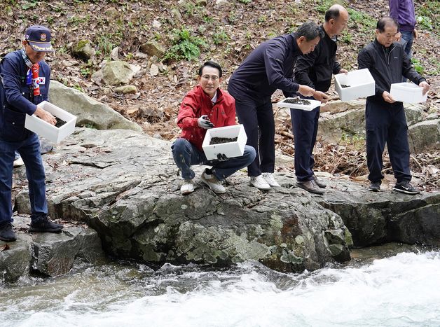 서산시, 마애삼존불 용현계곡에 다슬기 52만마리 방류