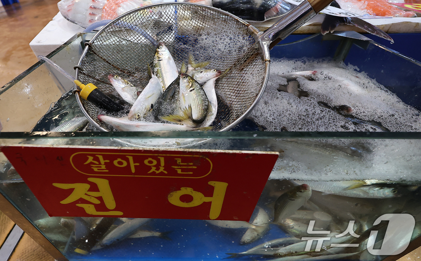 (서울=뉴스1) 김진환 기자 = 여름 내내 이어졌던 폭염으로 바닷물의 높은 수온이 유지되면서 '가을 전어' 가격이 폭등했다. 20일 국립수산과학원에 따르면 올 1-8월 전어 어획량 …