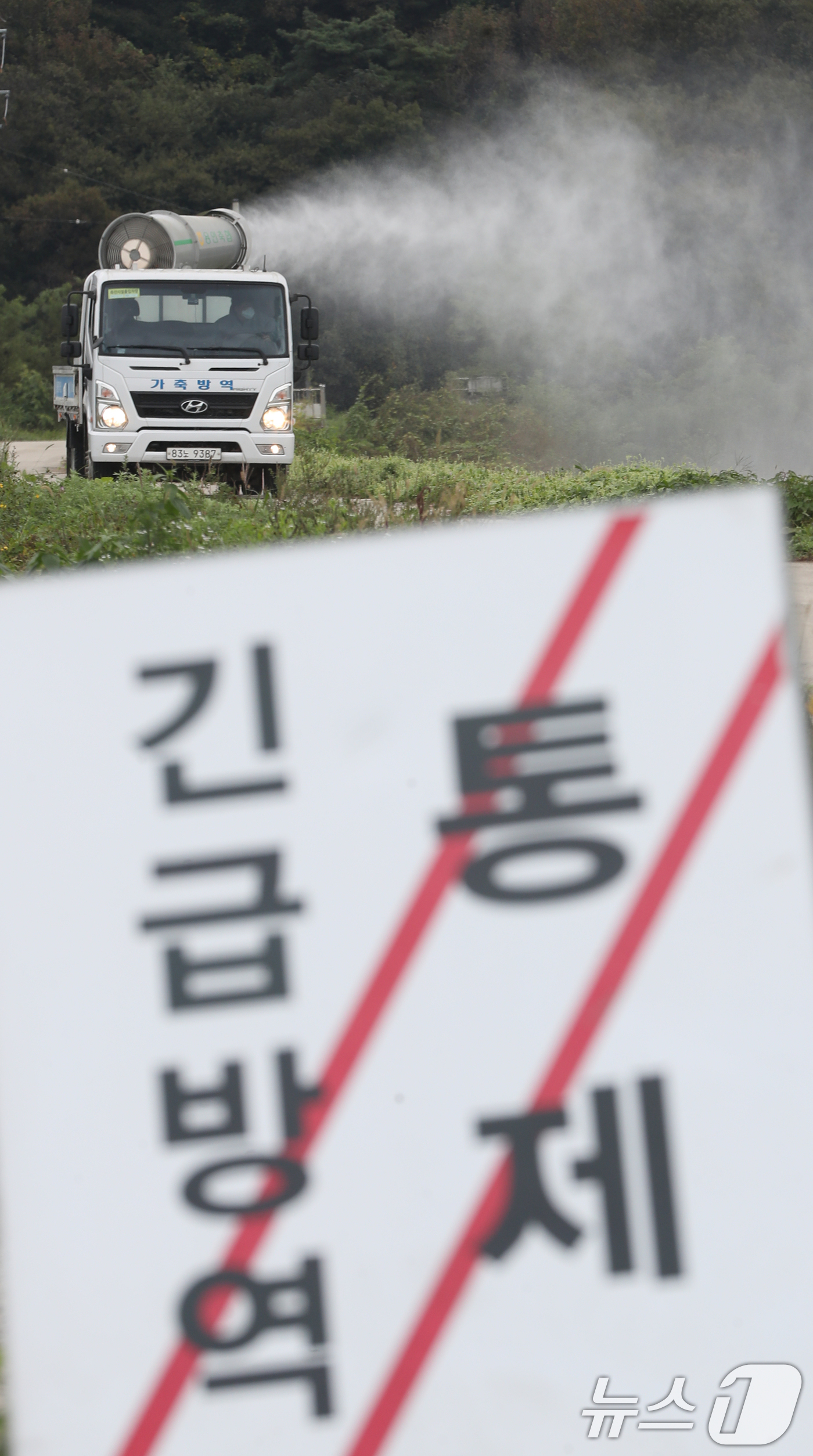 (용인=뉴스1) 김영운 기자 = 21일 경기 용인시 처인구 백암면 청미천 인근에서 용인시 관계자가 방역 작업을 하고 있다.용인시는 지난 14일 청미천 야생조류에서 고병원성 AI가 …