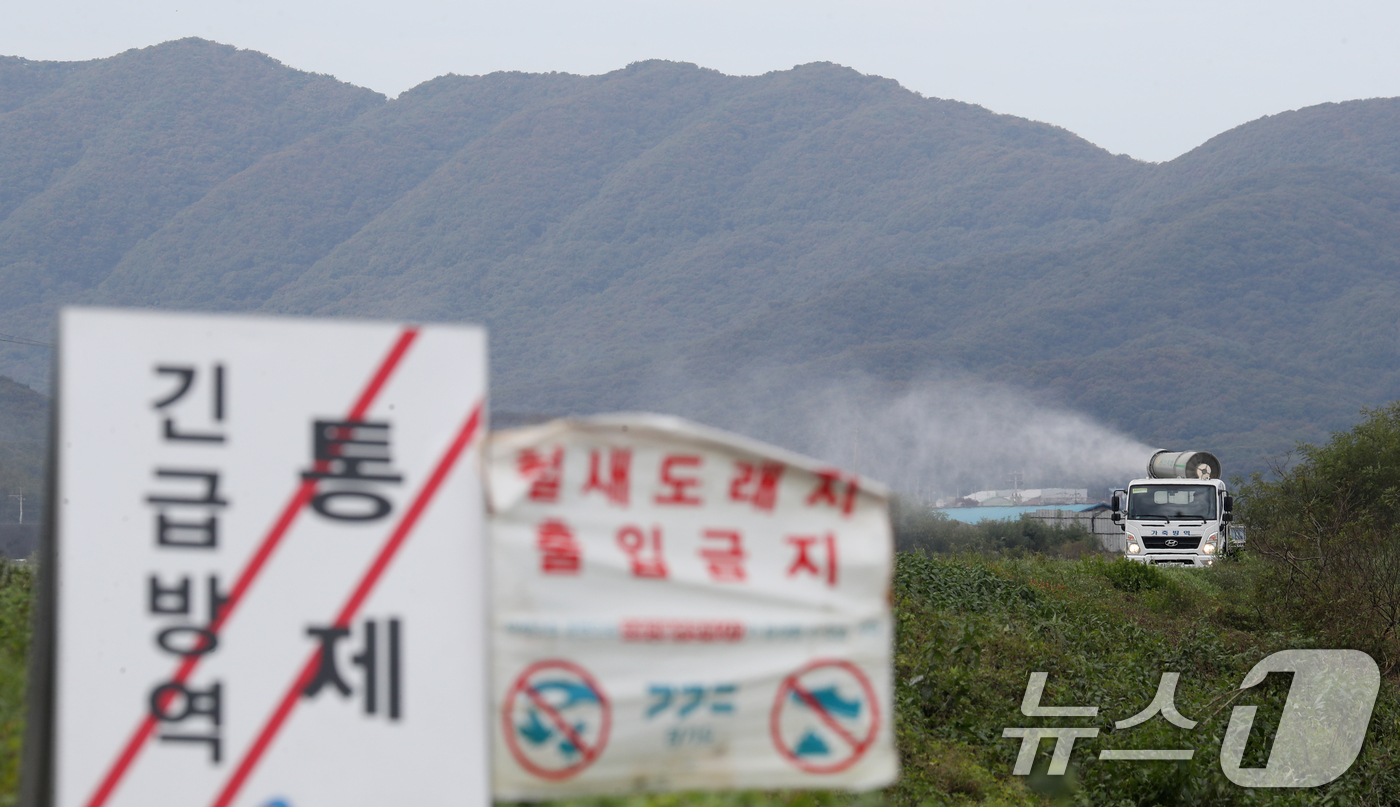 (용인=뉴스1) 김영운 기자 = 21일 경기 용인시 처인구 백암면 청미천 인근에서 용인시 관계자가 방역 작업을 하고 있다.용인시는 지난 14일 청미천 야생조류에서 고병원성 AI가 …