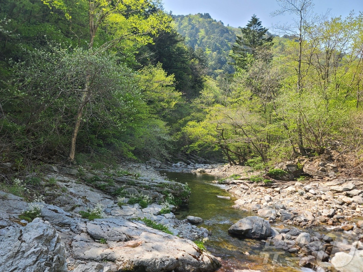 인제 방태산 &#39;아침가리 숲길&#39;&#40;산림청 제공&#41;/뉴스1 